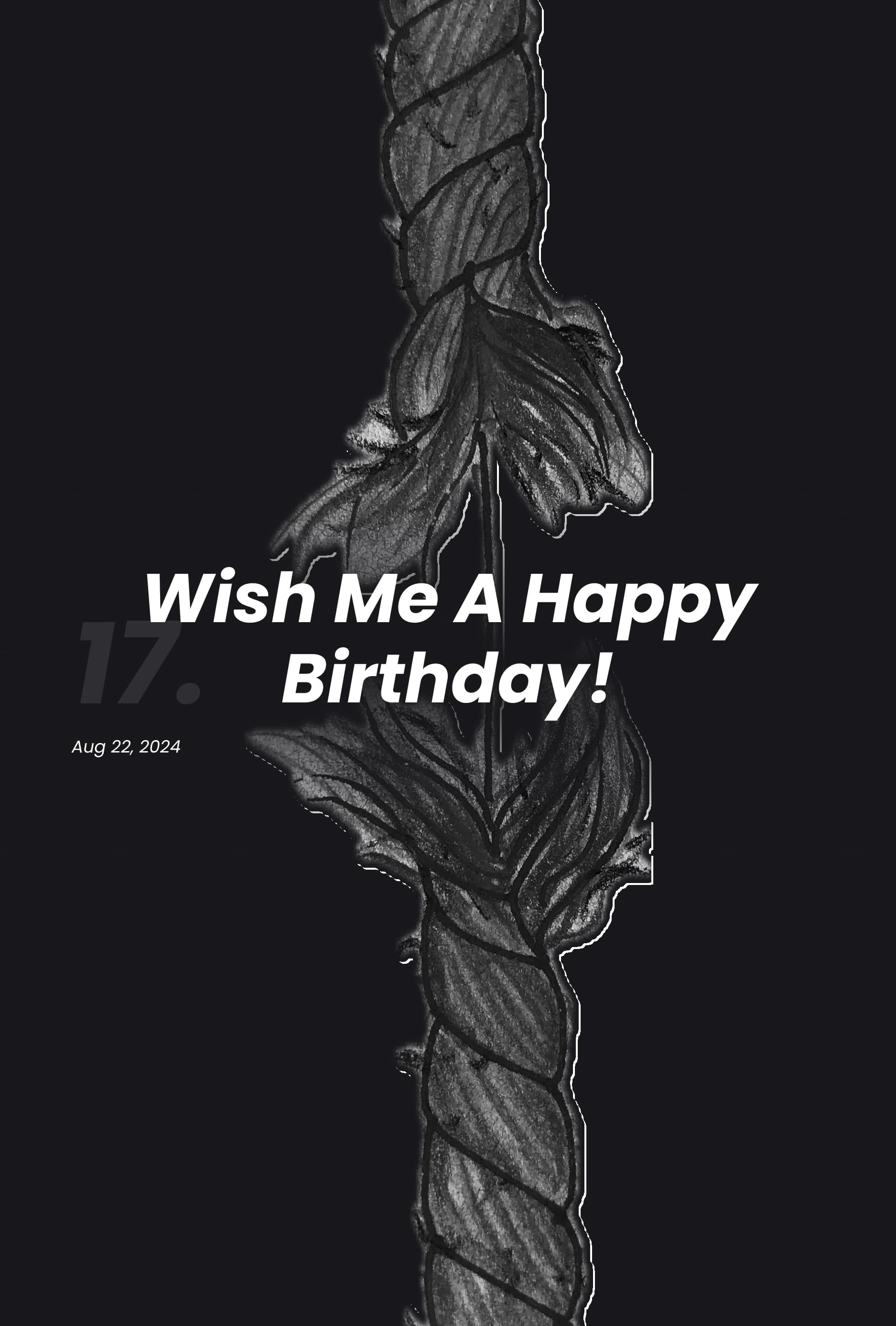 Book Image 13