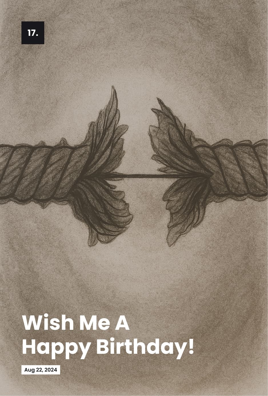 Book Image 14